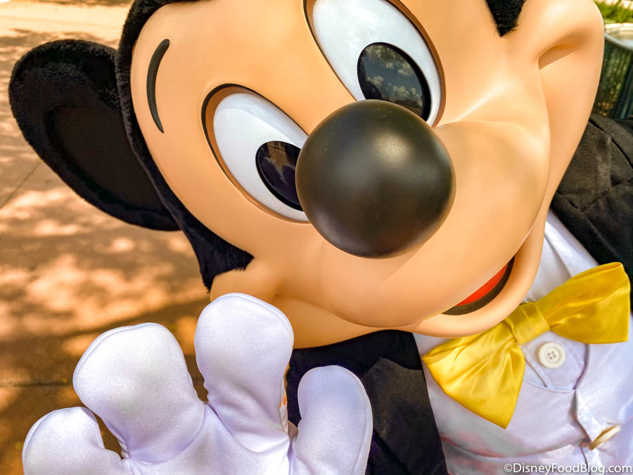Muchas situaciones peligrosas esquema testimonio How Meeting Mickey Mouse at Disney World is COMPLETELY Different Than It  Used To Be! | the disney food blog