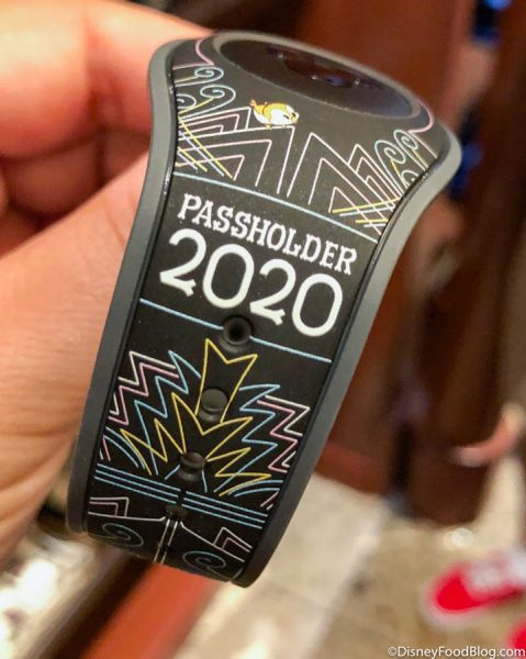 NEWS: Disney World Releases Updated Options for Annual Passholders Ahead of Reopening 