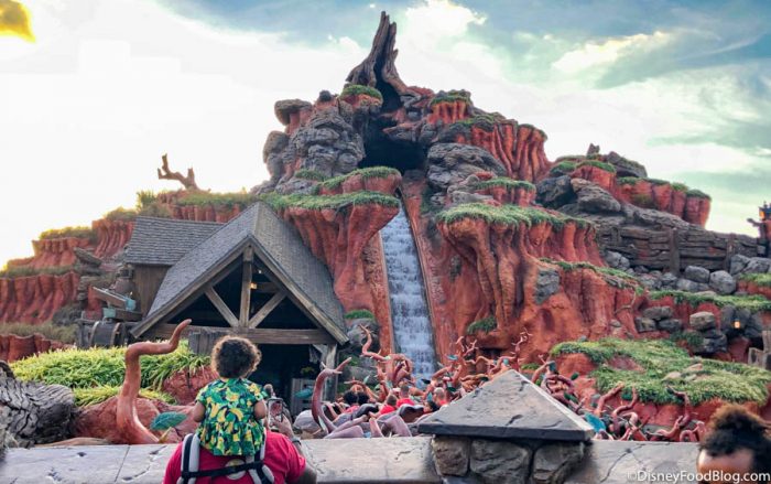 This Splash Mountain Merchandise Was FLYING Off the Shelves Today in Disney World! 