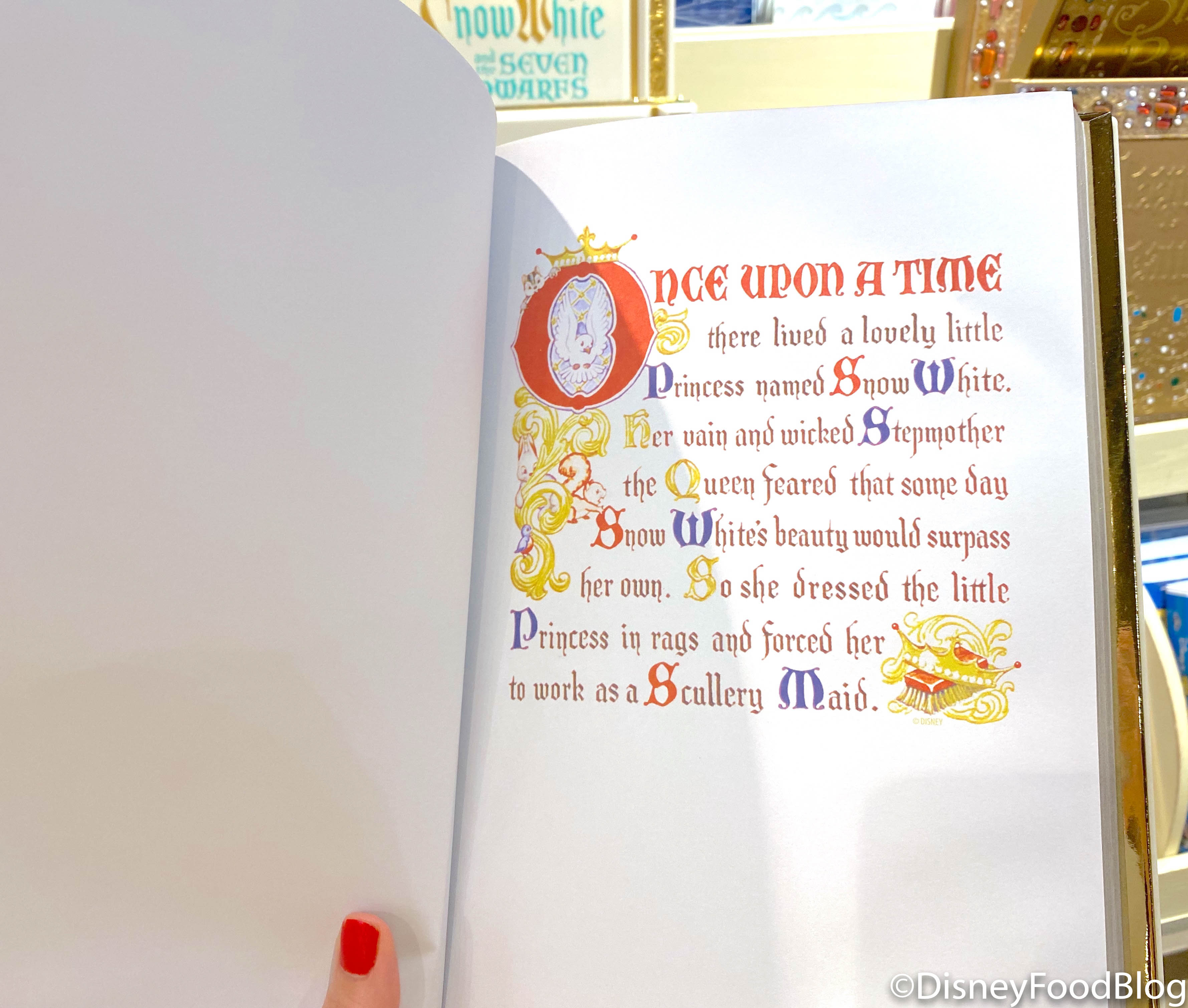 Mirror, Mirror on the Wall! This Journal in Disney Springs Is the ...