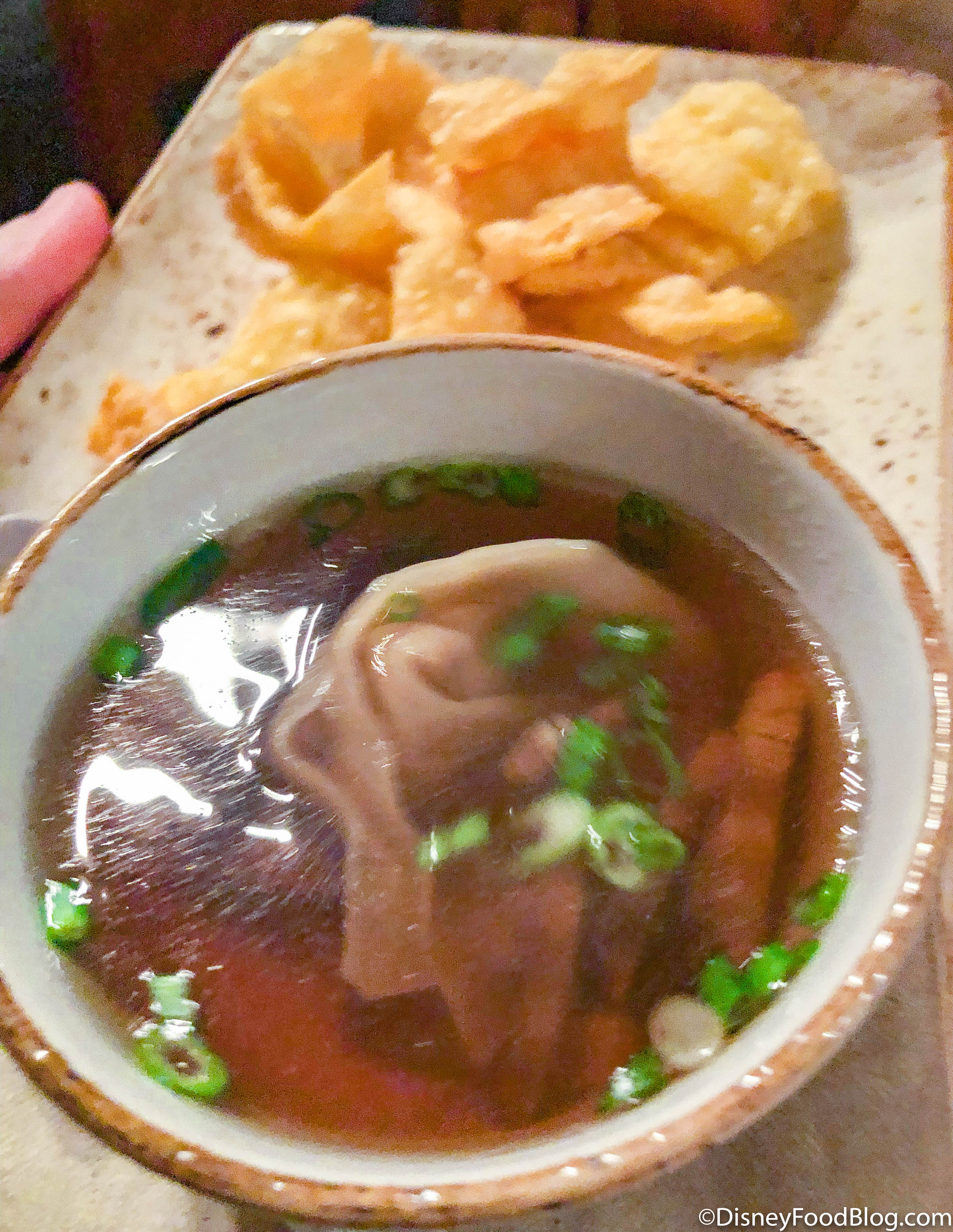 https://www.disneyfoodblog.com/wp-content/uploads/2020/05/2020-wdw-animal-kingdom-yak-and-yeti-restaurant-wonton-soup.jpg
