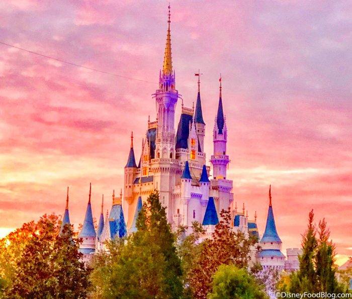 When Disney World Reopens, Can You Even Go? 