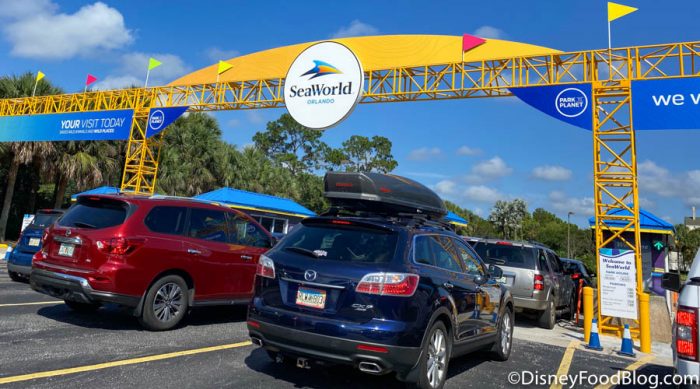 We’re LIVE From the Grand Reopening of SeaWorld Orlando 