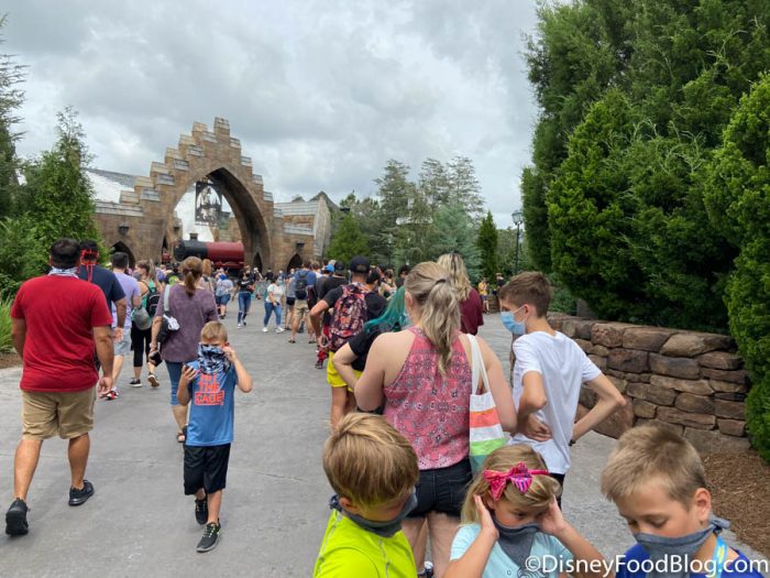 Theme Park Virtual Queue TIPS! What You Need To Know To Be A Pro When Disney World Opens! 