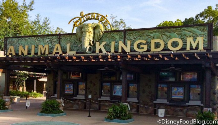 Photos! First Look Inside Disney’s Animal Kingdom Before It Re-Opens Later This Week! 