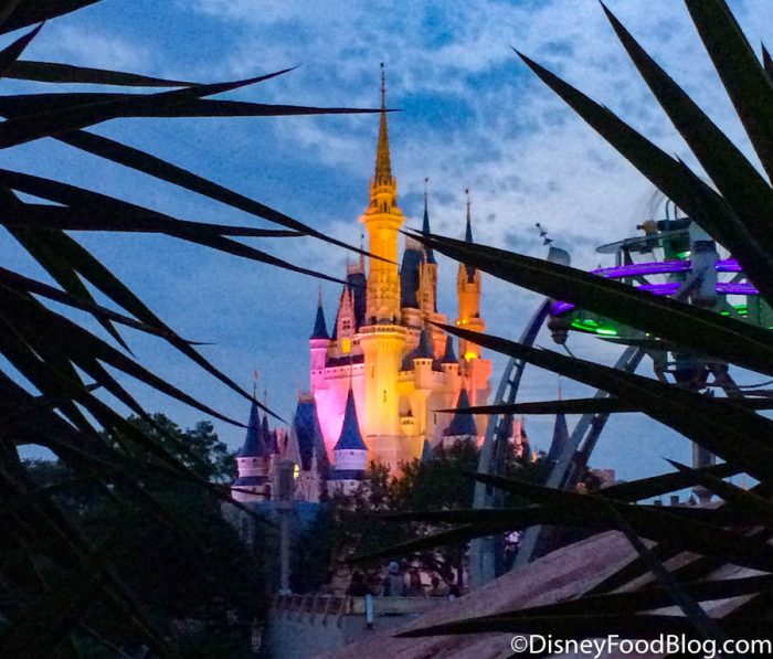 Could the Government Pay for Your Next Disney Trip!? 