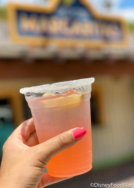 Review! Is This Watermelon Margarita in Disney World As Refreshing As It Sounds?! 