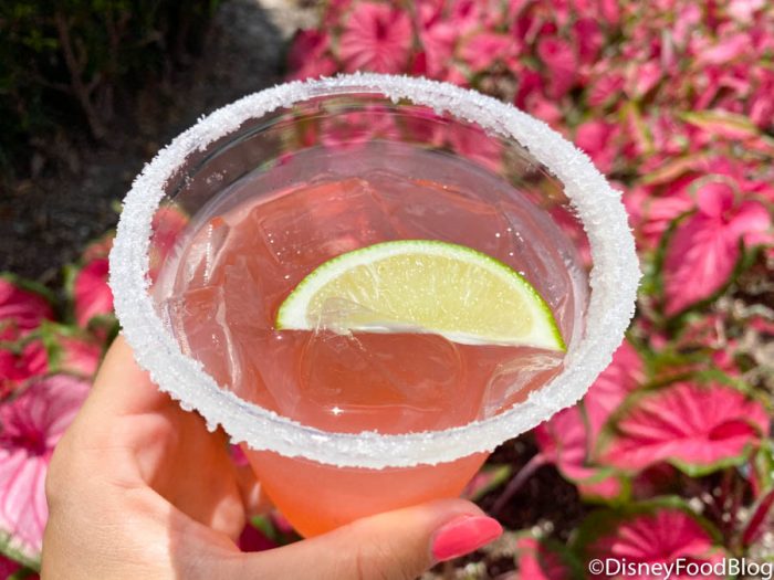 Review! Is This Watermelon Margarita in Disney World As Refreshing As It Sounds?! 