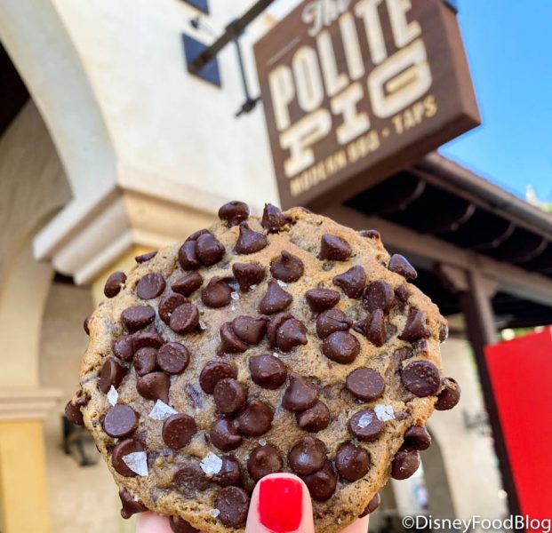 REVIEW and PHOTOS: This Crazy Popular Treat Is GONE in Disney World…But There’s A Brand New Replacement… 