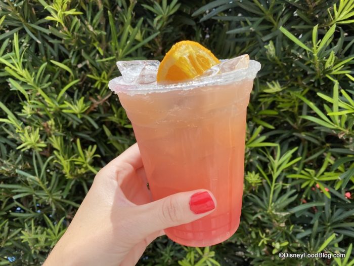 Review! The Watermelon Margarita Has Some Serious Competition in Disney World… 