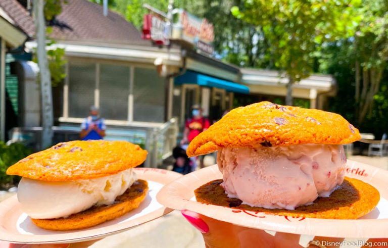 DFB Video Why You Should Bring Your Own Food To Disney World Disney 