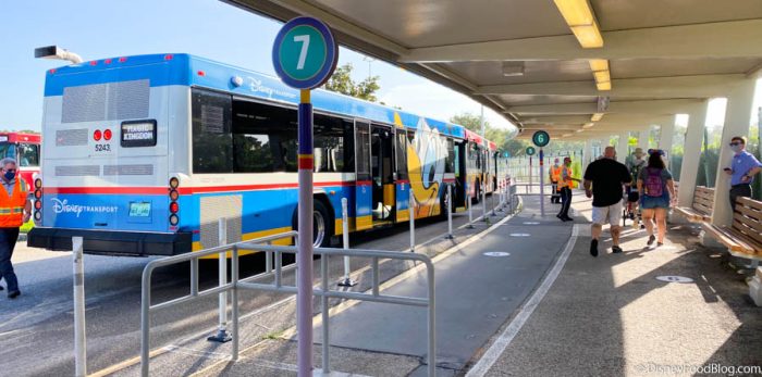 We Checked Out LOTS of Disney World Transportation Today — Here’s What It Was Like! 