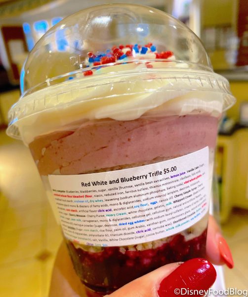 REVIEW! THIS Treat is the Surprising WINNER of All the Fourth of July Treats We’ve Had in Disney World! 