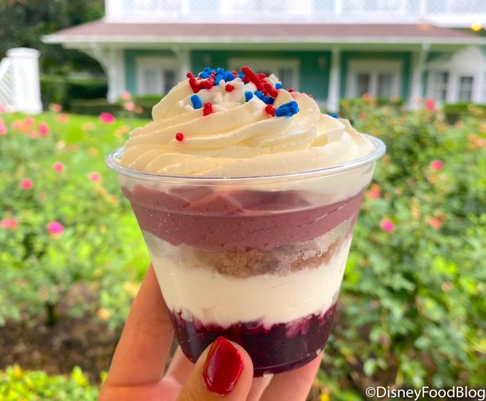 REVIEW! THIS Treat is the Surprising WINNER of All the Fourth of July Treats We’ve Had in Disney World! 