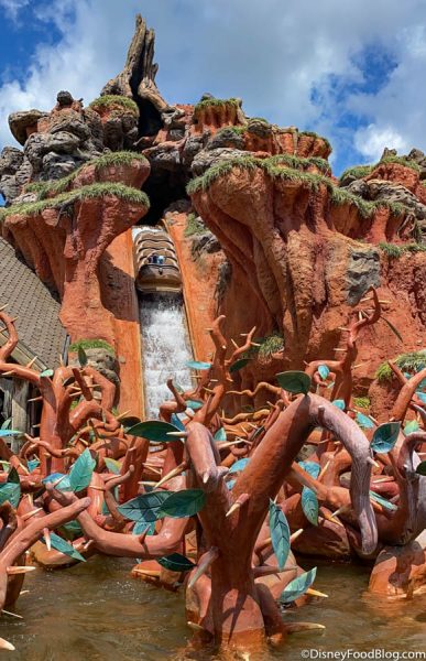 Will You Have to Keep Your Mask on for Water Rides in Disney World? Here’s What We’ve Experienced So Far! 