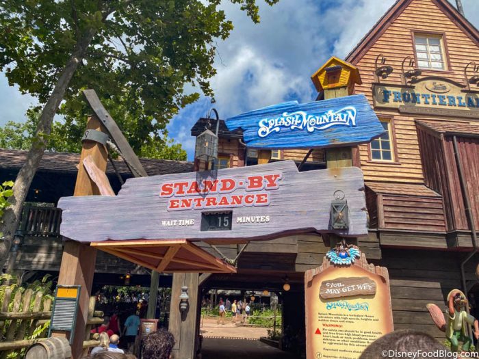 You’ve Got to See How LONG The Line Was For Splash Mountain in Magic Kingdom This Morning! 
