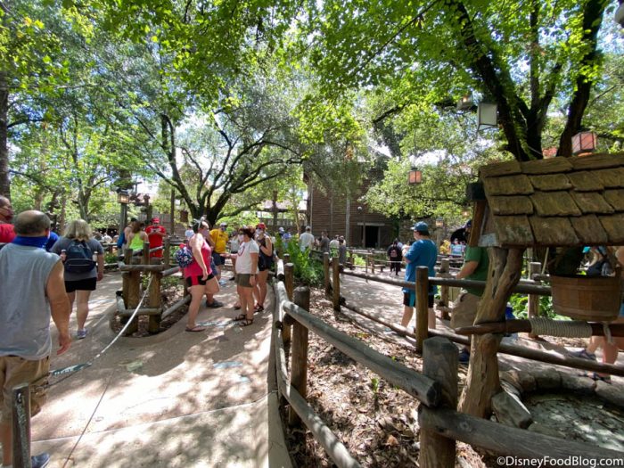 You’ve Got to See How LONG The Line Was For Splash Mountain in Magic Kingdom This Morning! 