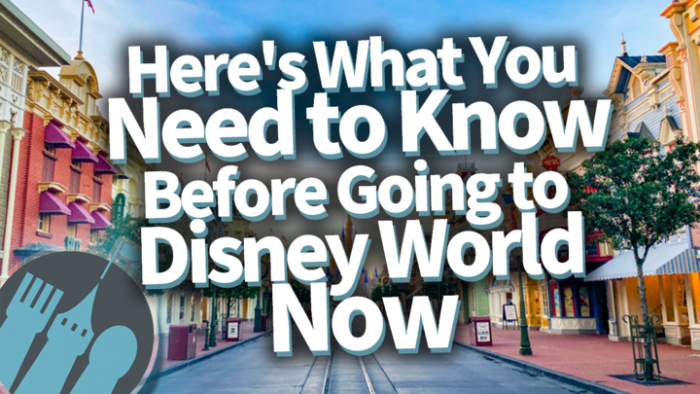 DFB Video: What You Need to Know Before You Go to Disney Right Now