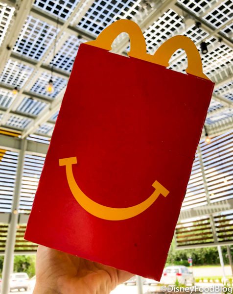 First Look and PHOTOS! Disney World’s New McDonald’s is Officially OPEN — And It’s SOLAR POWERED! 