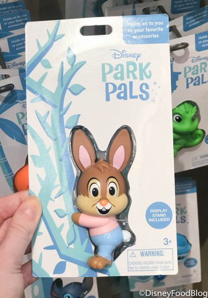 This Splash Mountain Merchandise Was FLYING Off the Shelves Today in Disney World! 