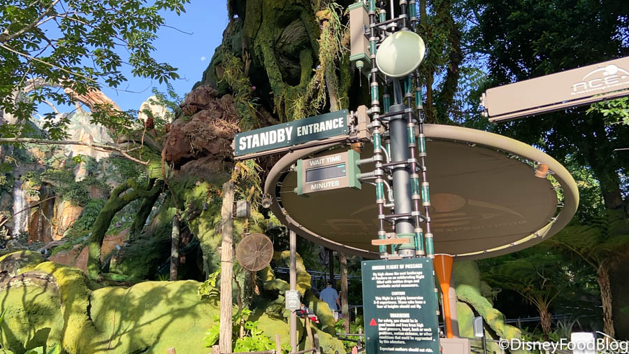 Pandora at Animal Kingdom (Flight of Passage) - WDW Prep School