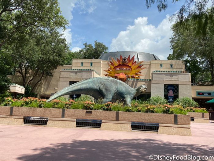 7 Things We Expected to See in Disney World…But Didn’t 