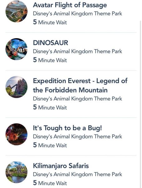 Here’s What the Wait Times are Like on Reopening Day at Animal Kingdom in Disney World! 