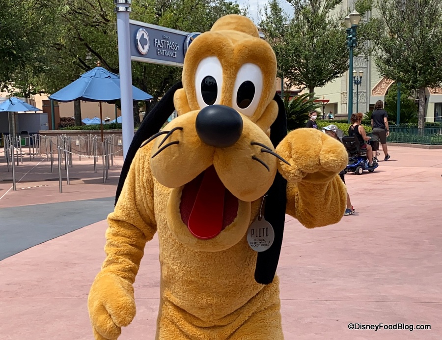 2014 Disney Animal Kingdom Pluto Pin Only 