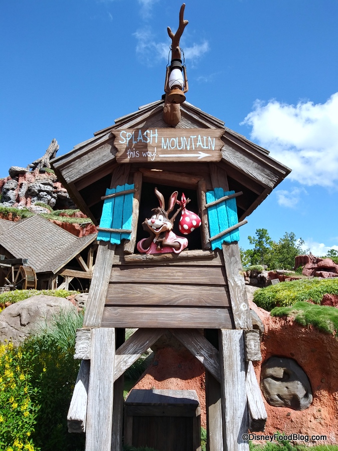 NEWS: Splash Mountain Has Reopened in Disney World, the disney food blog
