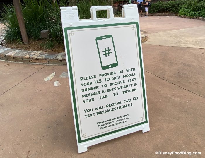 We’re STUNNED That THIS Reached Capacity Today in Disney World 