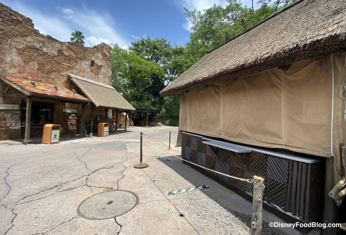 PHOTOS: Here’s What Crowds Look Like in Animal Kingdom in Disney World on Reopening Day! 