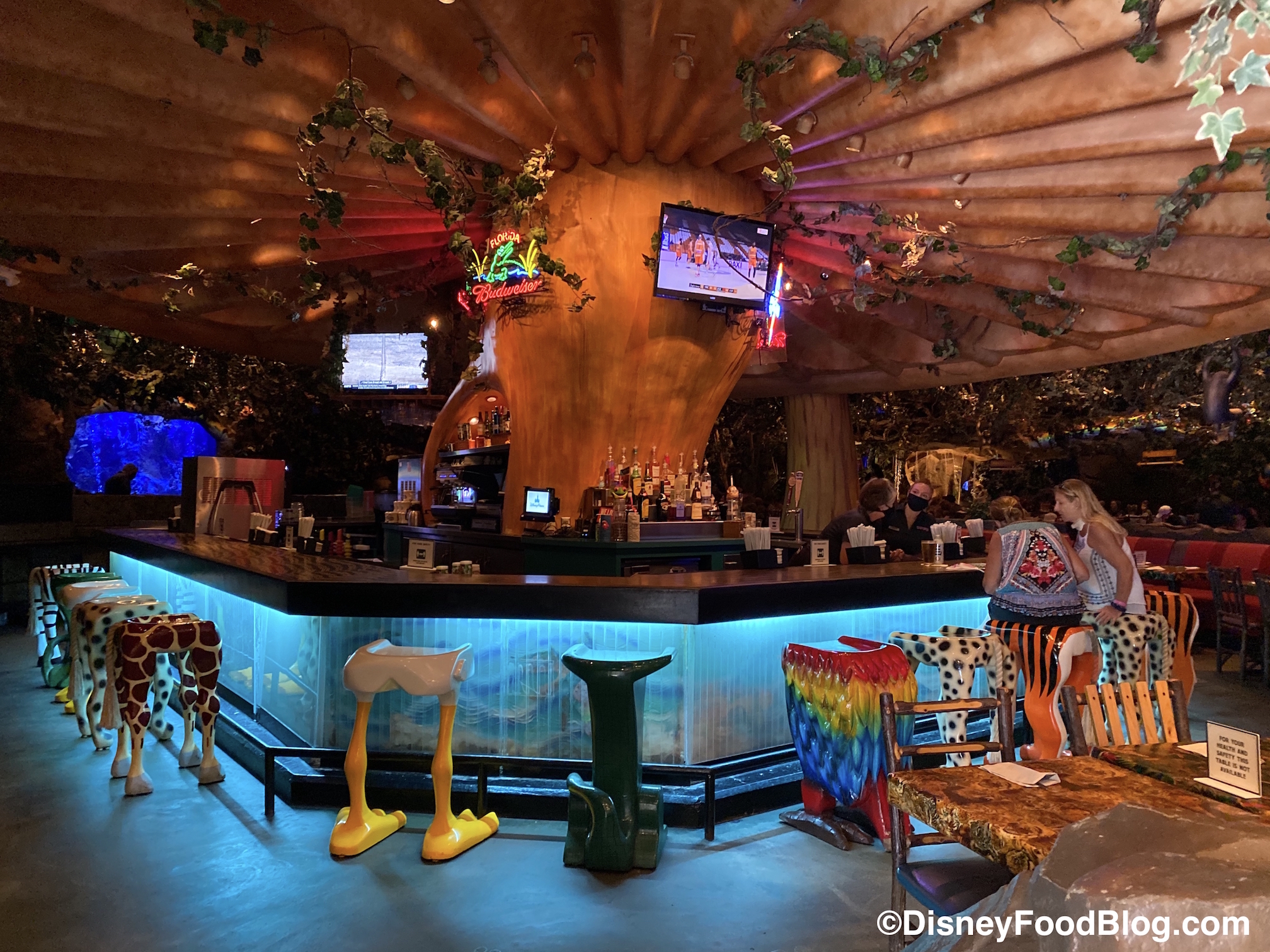 Rainforest Cafe Disney World's Animal Kingdom Orlando