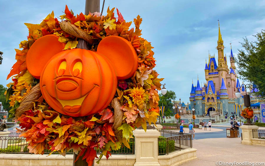 PICS! The Iconic Mickey Jack-O-Lanterns Are UP in Magic Kingdom at ...