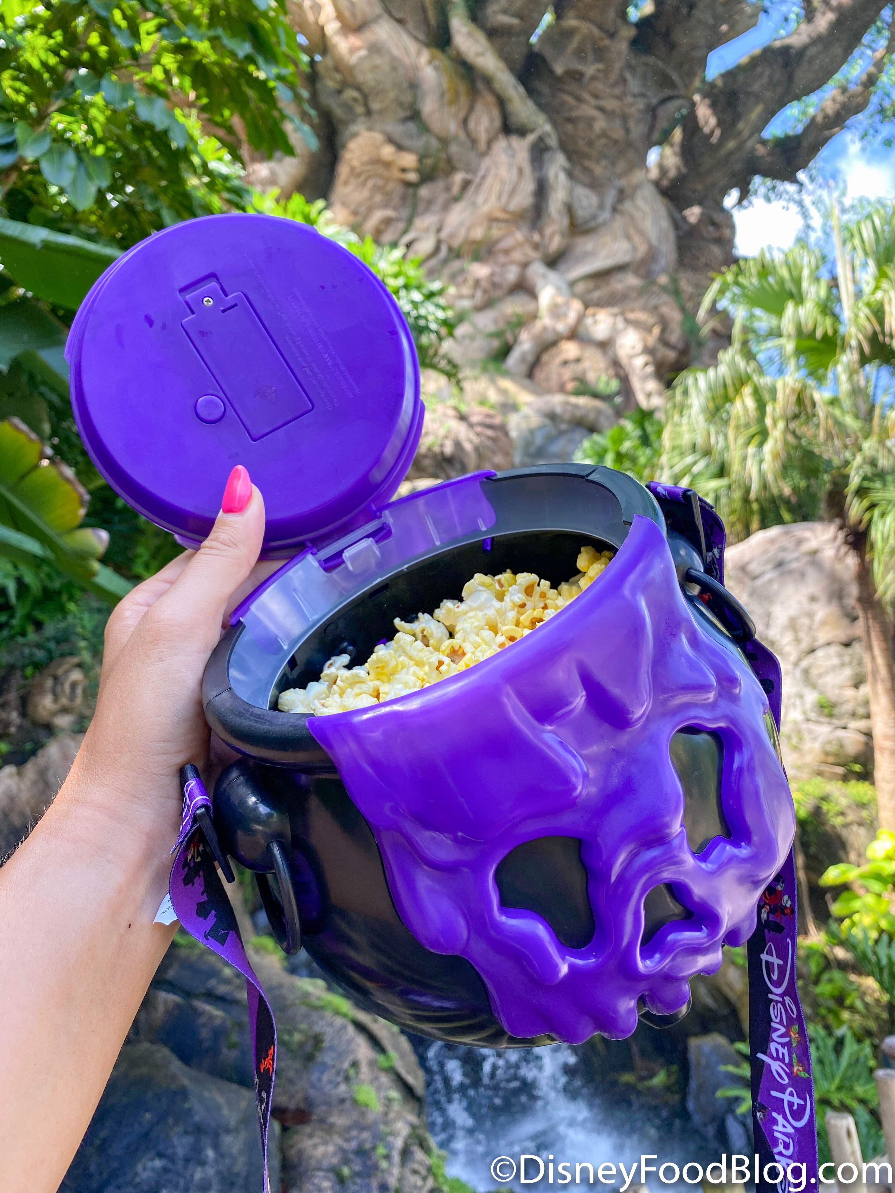 We're Popping for Joy! The FIRST Halloween Popcorn Bucket of 2020 Has