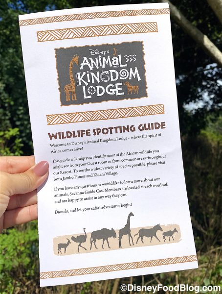 animal-kingdom-lodge-wildlife-spotting-g