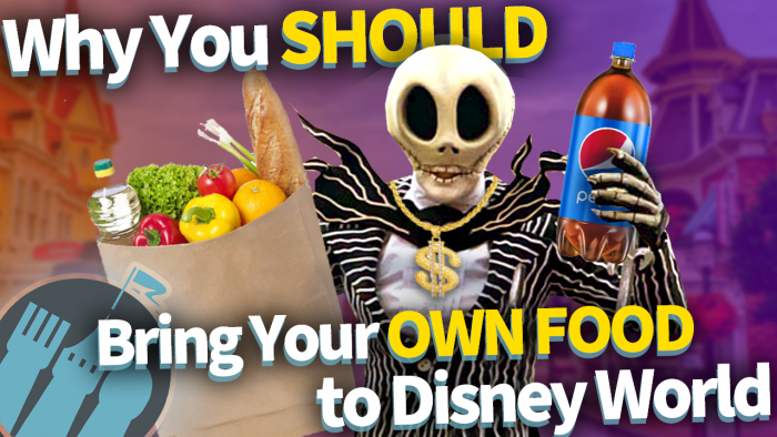 DFB Video: Why You Should Bring Your Own Food to Disney World! | the