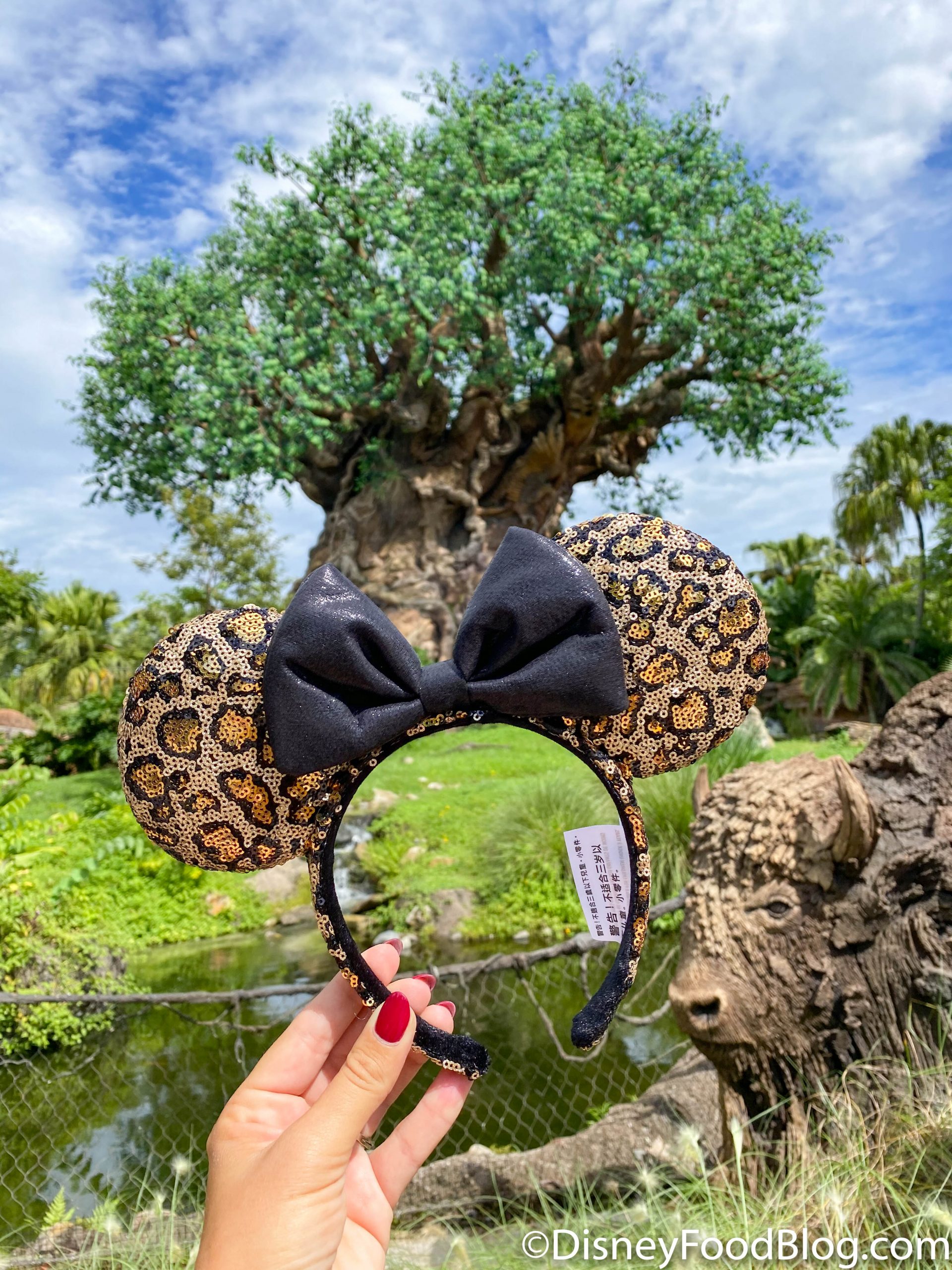 We Found the PERFECT Outfit for a Day at Disney's Animal Kingdom! | the  disney food blog