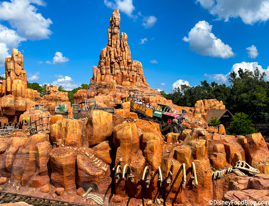 10 000 Fans Voted On The Best Disney World Mountain Do You Agree The Disney Food Blog