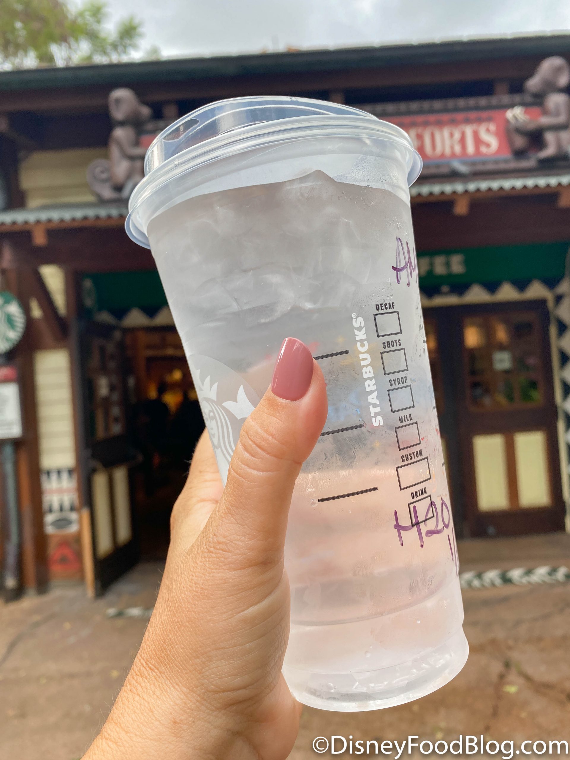 Does Starbucks Charge for Water? 