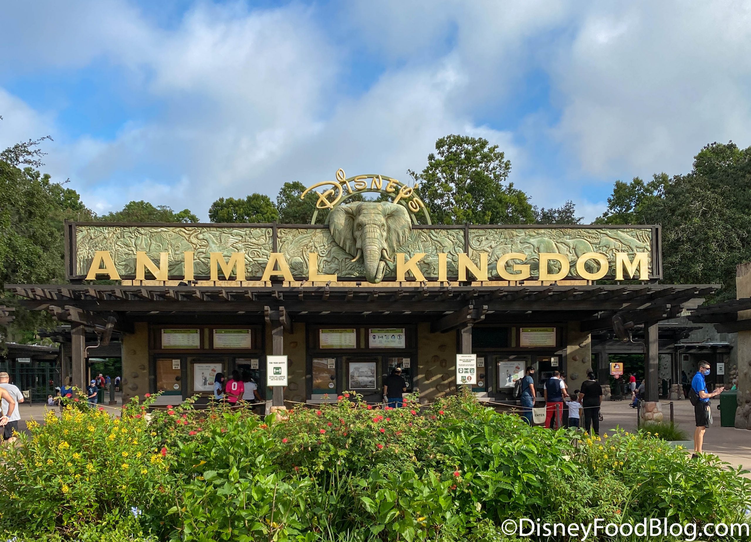 The 4 Best Things to Do in Disney World in January! | the disney food blog