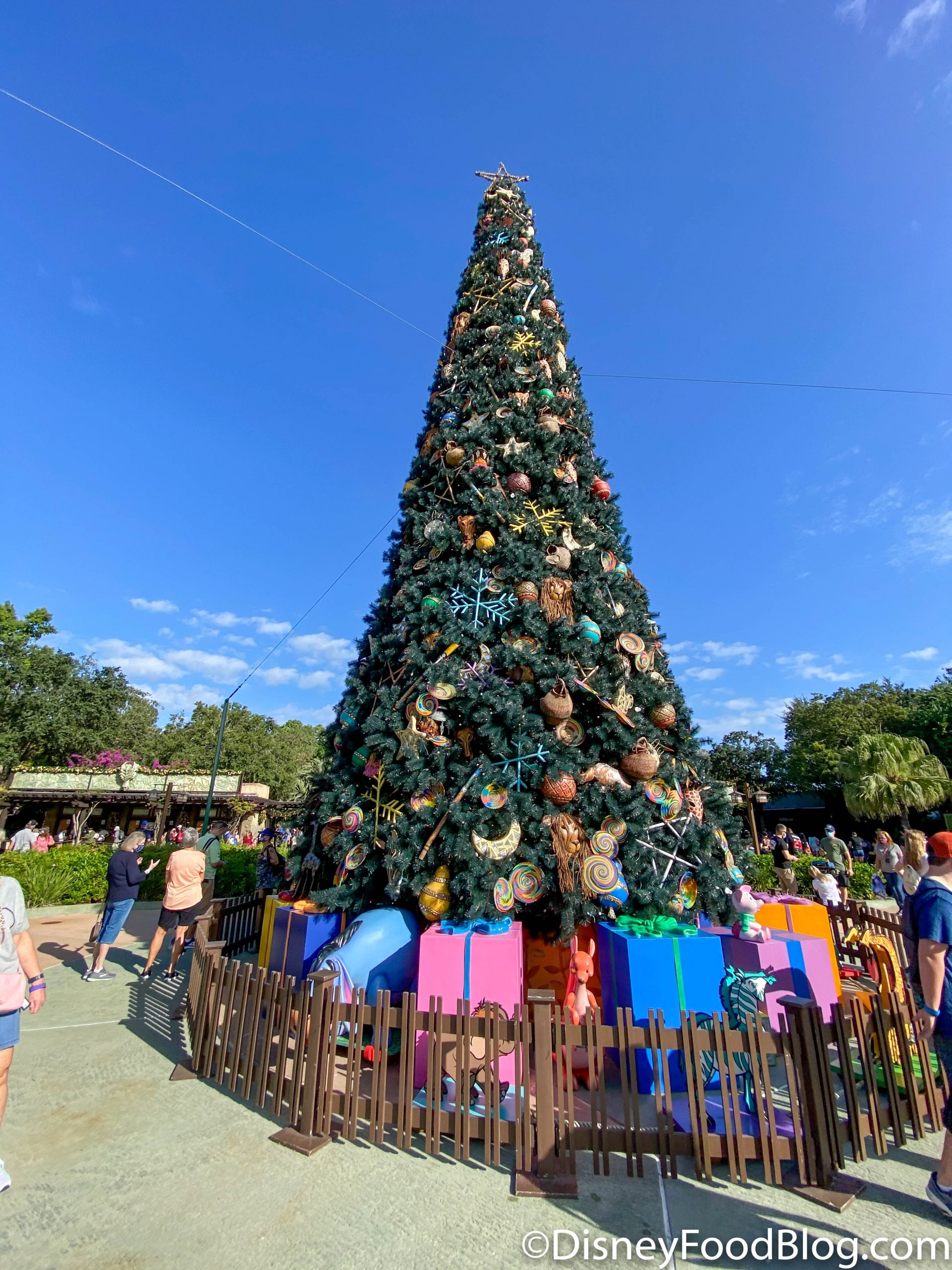 MORE Holiday Decorations Are Up in Disney's Animal Kingdom! | the disney  food blog