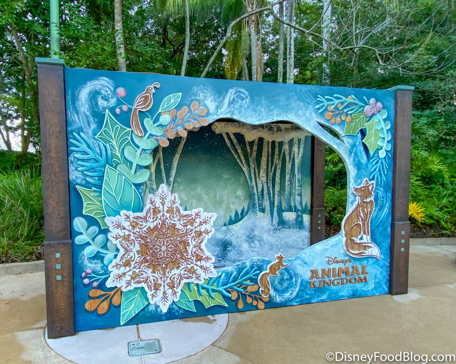 What's New at Animal Kingdom: Holiday Decorations, Festive Drinks, AND