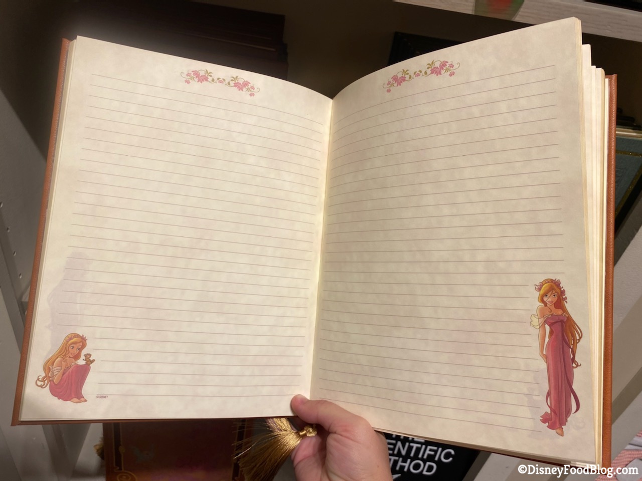 these-storybook-journals-at-disneyland-resort-let-you-write-your-own