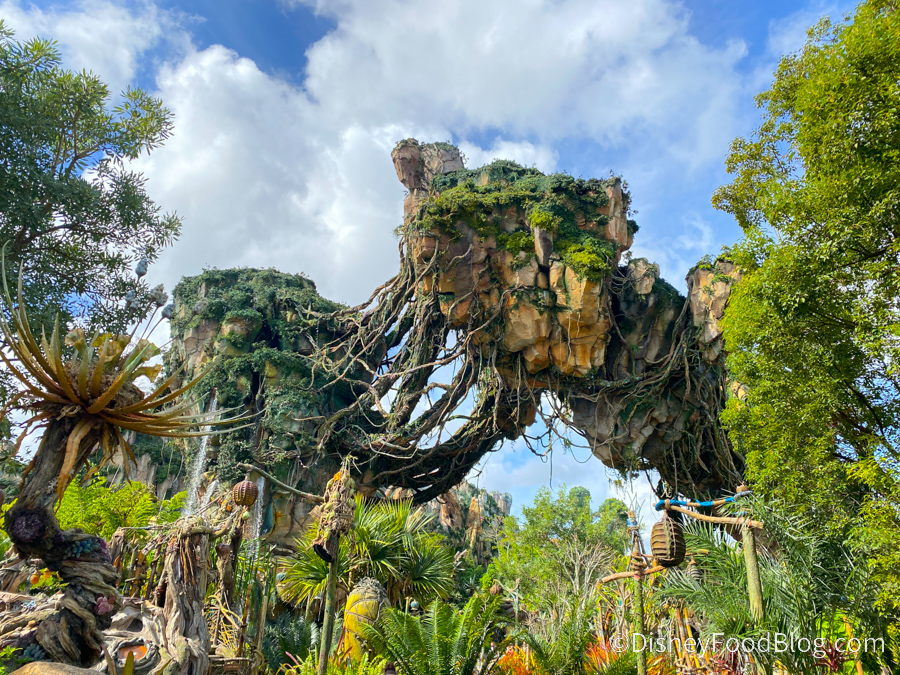 blande fuzzy det er alt Pandora - The World of Avatar in Disney World's Animal Kingdom | the disney  food blog