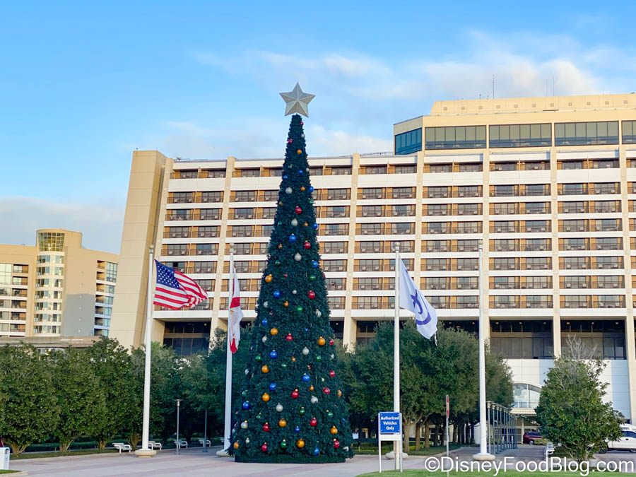 PHOTOS! The HUGE Christmas Tree is Up at Disney’s Contemporary Resort
