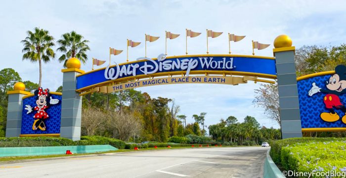 tips for first trip to disney world