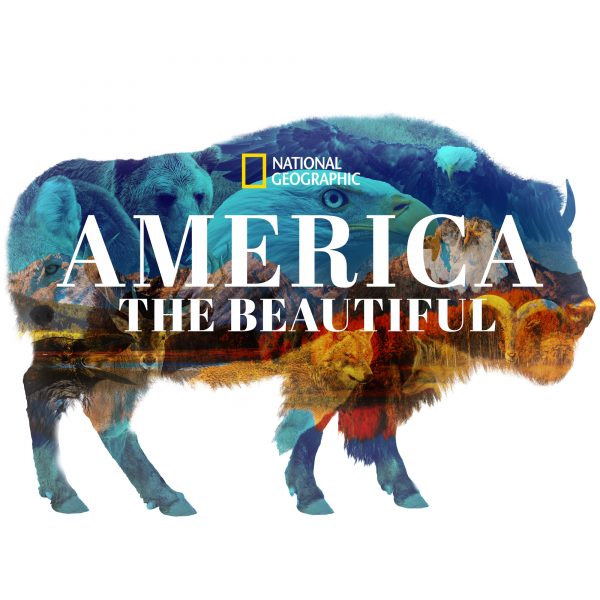 America-The-Beautiful-600x600.jpg