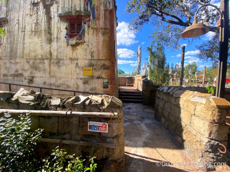 Pics! Here's Where to Find the Epic New Super Zoom Magic Shot at Disney