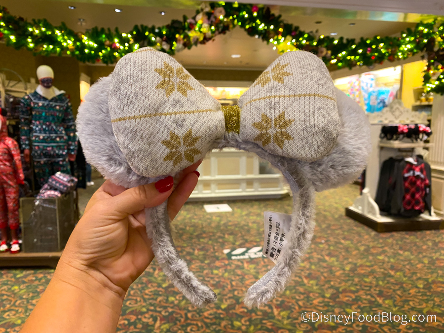 What’s New at Magic Kingdom Crowds, A 2021 MagicBand, and