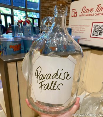 Take Your Home to Paradise Falls with Disney's 'Up' Collection! | the ...